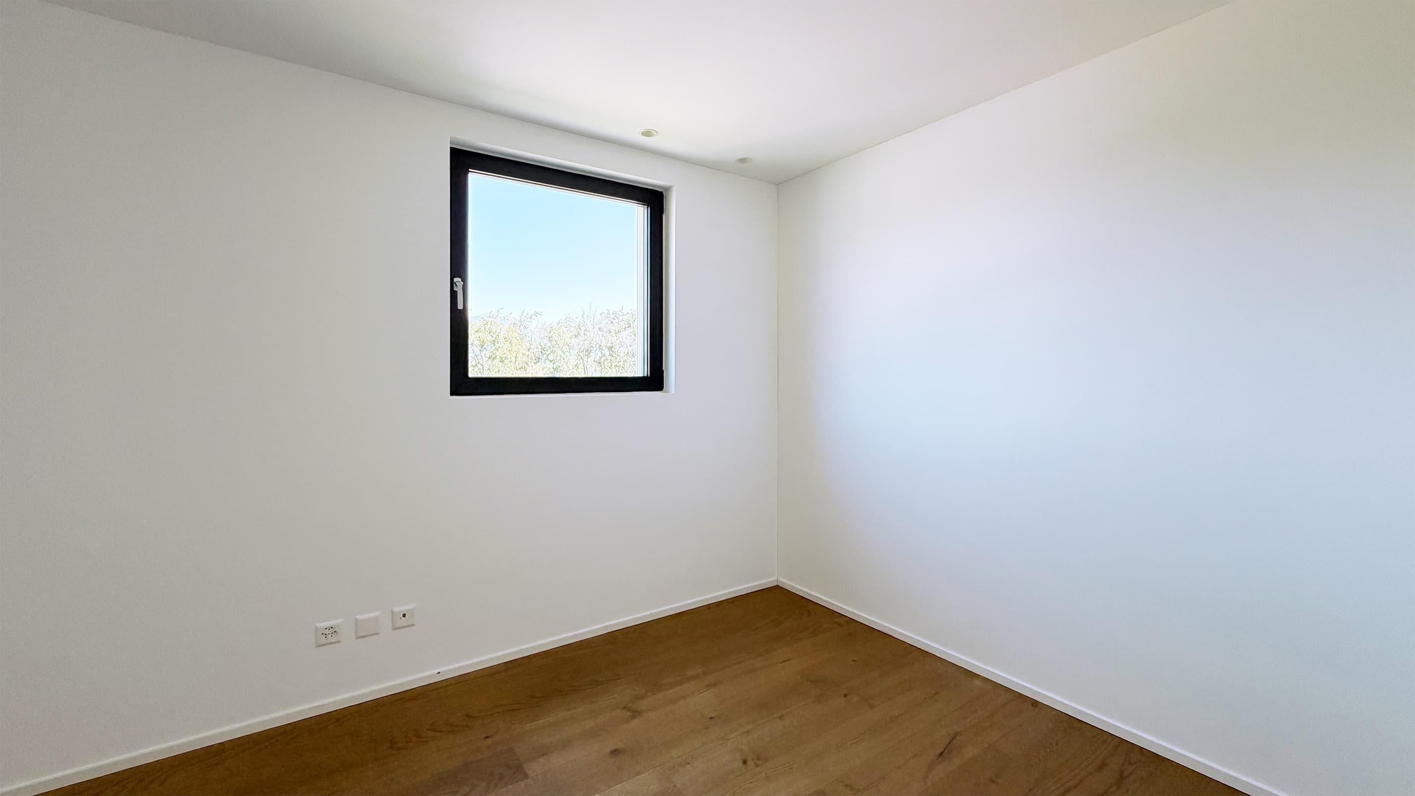 Gallery image 9